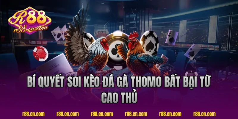 Bí Quyết Soi Kèo Đá Gà Thomo Bất Bại Từ Cao Thủ