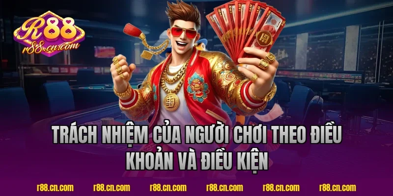 Trách Nhiệm Của Người Chơi Theo Điều Khoản Và Điều Kiện